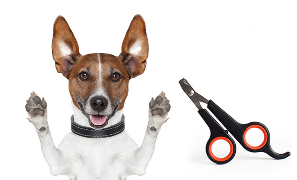 Pet Nail Clipper Scissors for Dogs & Cats, Stainless Steel Curved Blade Claw Trimmer, Ergonomic Non-Slip Grooming Tool