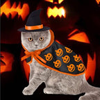 Halloween Pet Costume Set Witch Hat and Pumpkin Print Cape Cloak for Cats and Small Dogs Adjustable Ribbon Tie Costume Accessory
