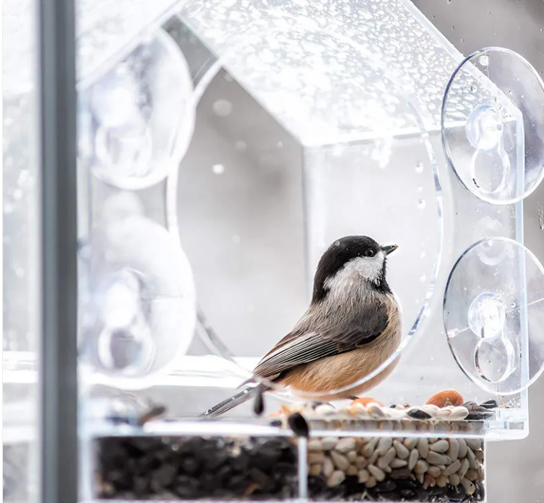 Clear Acrylic Window Bird Feeder with Strong Suction Cups House-Shaped Transparent See-Through Seed Tray for Close-Up Bird Watching