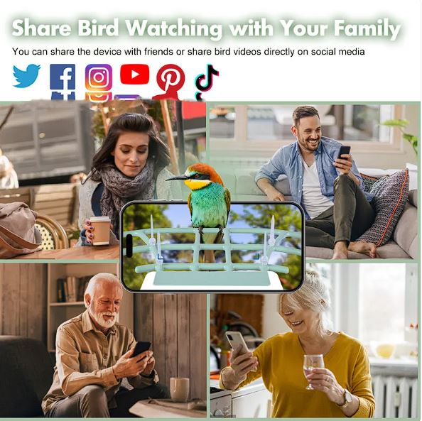 Solar Powered Smart Bird Feeder with 1080p Camera AI Bird Recognition Wireless Wi-Fi Waterproof Outdoor Bird Watching Camera