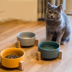 Ceramic Raised Pet Bowl with Wooden Stand, Anti-Slip Elevated Food and Water Dish for Cats and Dogs, Dishwasher Safe