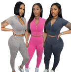 Sexy V-Neck Crop Top and Sweatpants Set