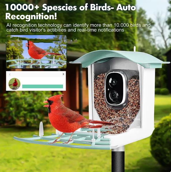 Solar Powered Smart Bird Feeder with 1080p Camera AI Bird Recognition Wireless Wi-Fi Waterproof Outdoor Bird Watching Camera