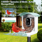 Solar Powered Smart Bird Feeder with 1080p Camera AI Bird Recognition Wireless Wi-Fi Waterproof Outdoor Bird Watching Camera