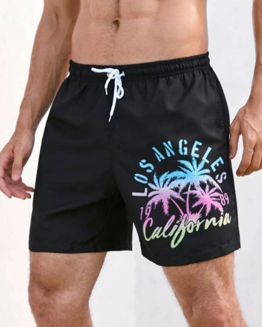 Men's Palm Tree Print Quick-Dry Swim Trunks