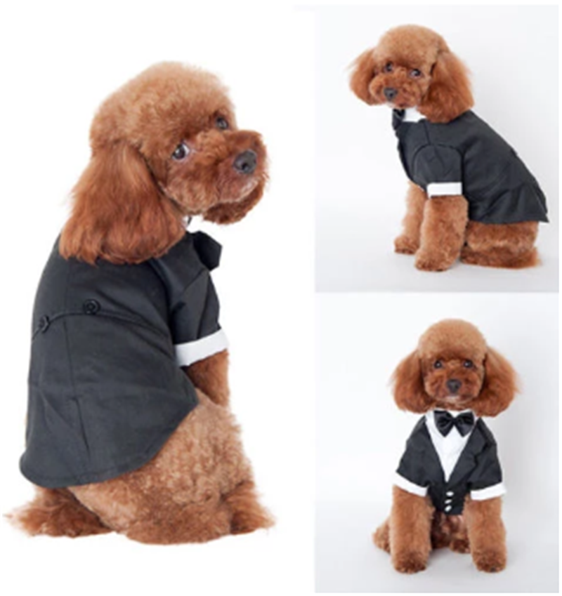 Formal Dog Tuxedo with Attached Bow Tie, Gentleman Wedding Suit Costume for Small and Medium Dogs, Black Party Pet Outfit