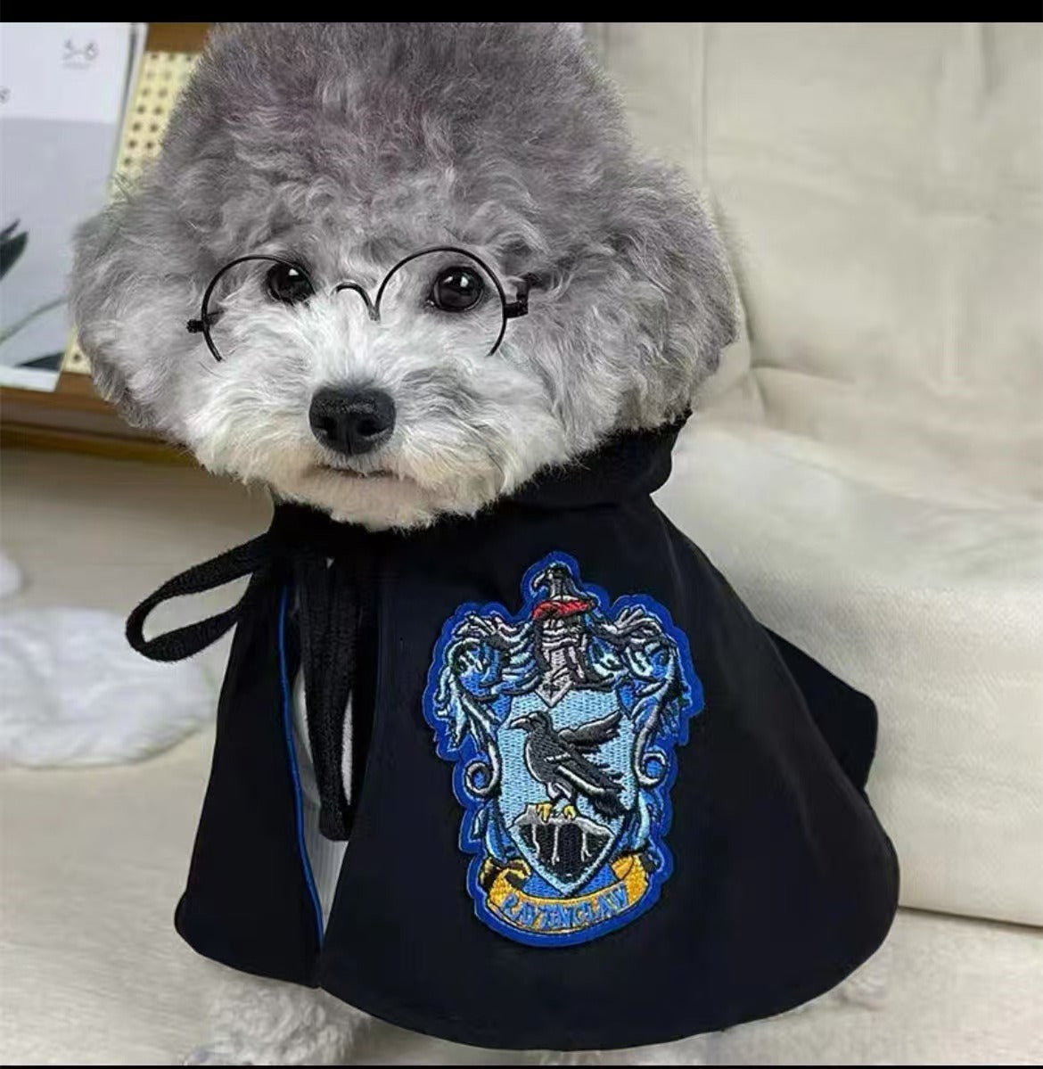 Pet Magic Cloak & Accessories for Cats and Dogs