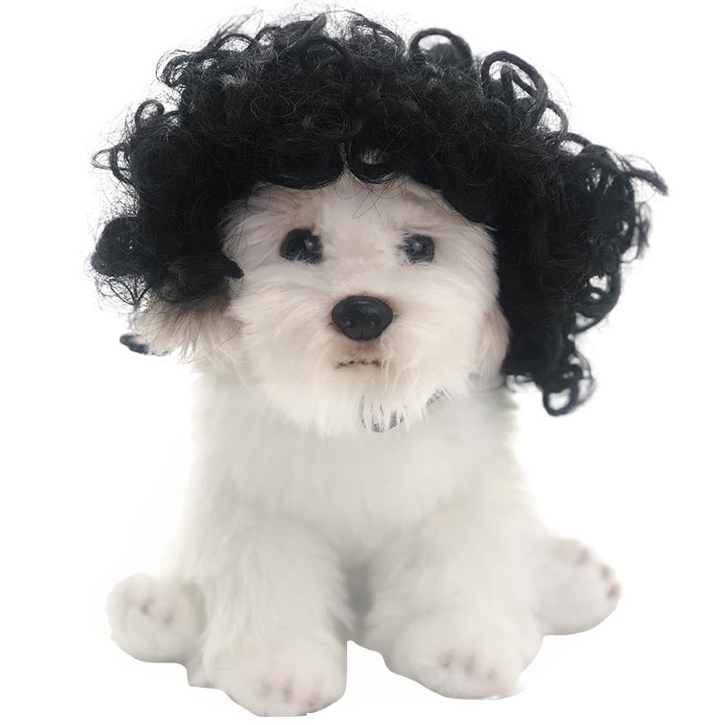 Pet Wig for Dogs and Cats, Funny Costume Curly Hair Wig with Adjustable Strap for Halloween Parties and Photos, Multiple Styles