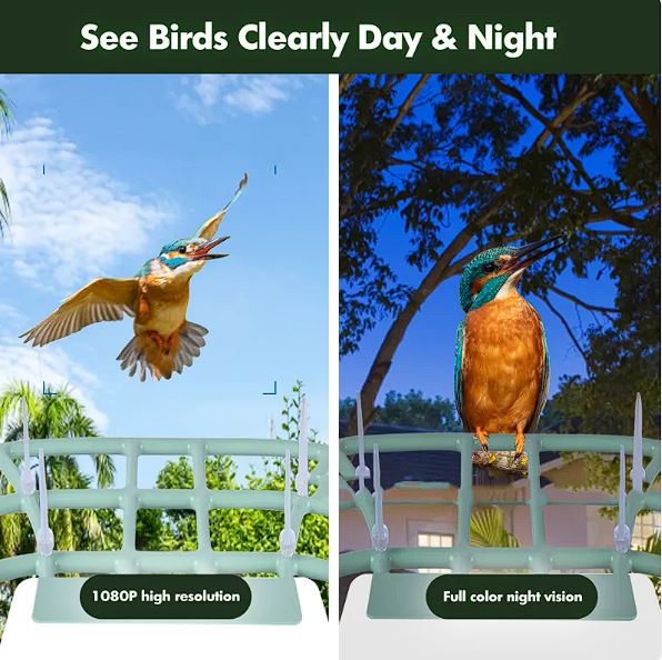 Solar Powered Smart Bird Feeder with 1080p Camera AI Bird Recognition Wireless Wi-Fi Waterproof Outdoor Bird Watching Camera