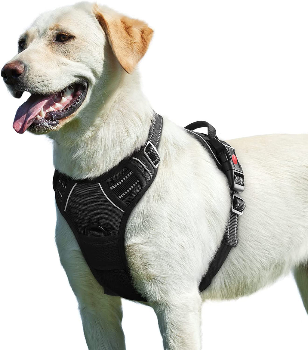 No-Pull Dog Harness with Handle and Reflective Straps - Adjustable Padded Mesh Vest Harness for Small Medium Large Dogs, No Choke Walking Harness