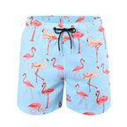 Men's Dual-Layer Quick-Dry Swim Trunks