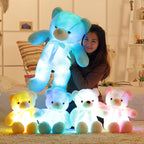 50cm LED Light-Up Teddy Bear Plush Toy | Home Decor