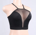 Summer Women's Sheer Mesh Crop Top - Latest Style