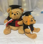 Plush Doctor Bear Toy Gift - Graduation Teddy Bear | Home Decor
