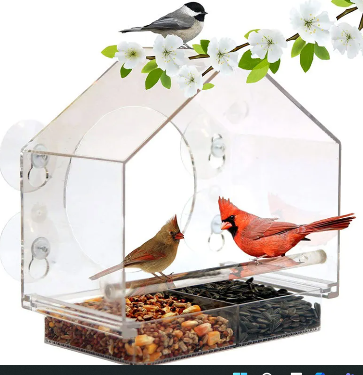 Clear Acrylic Window Bird Feeder with Strong Suction Cups House-Shaped Transparent See-Through Seed Tray for Close-Up Bird Watching