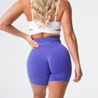Women's High Waist Quick Dry Yoga Shorts