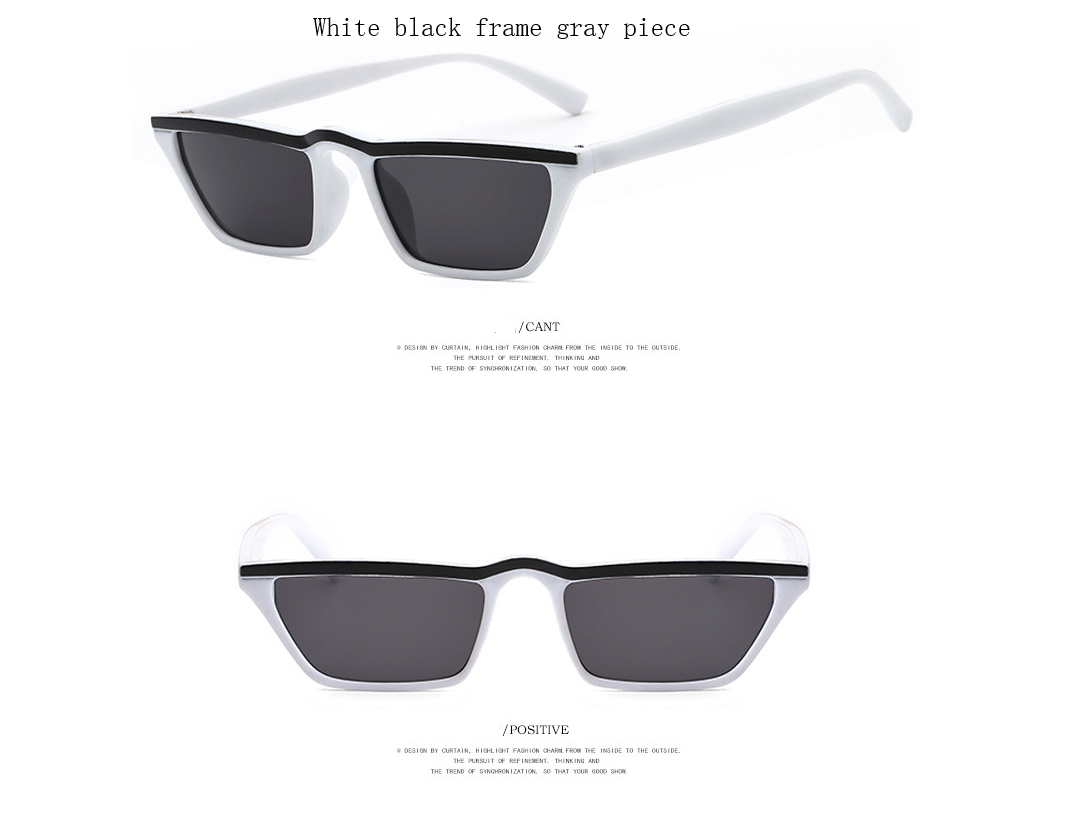 Small Frame Cat-Eye Sunglasses