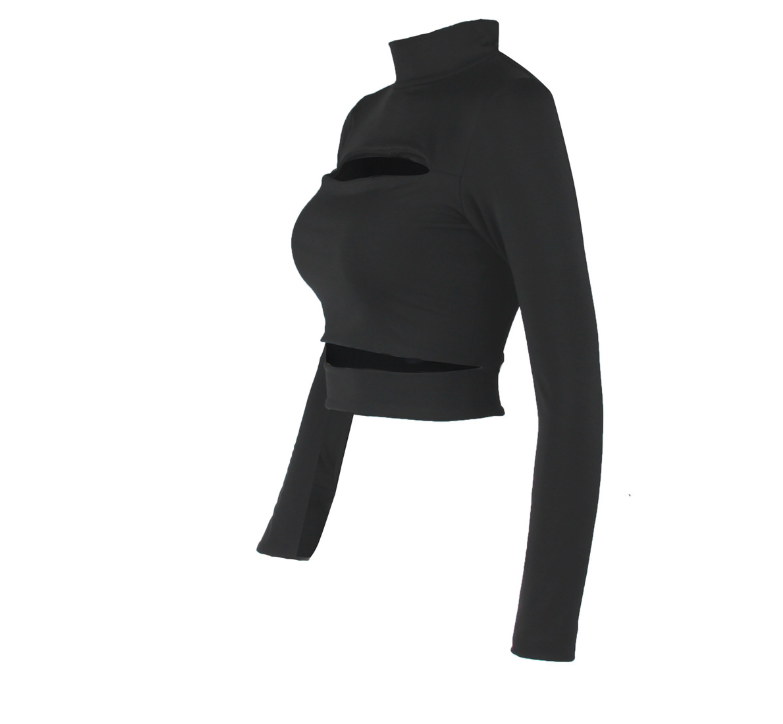 European Style Hollow Out Long Sleeve Crop Top for Women