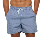 Men's Dinosaur Print Swim Trunks