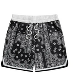 Men's Paisley Bandana Print Swim Shorts