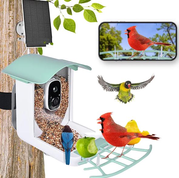 Solar Powered Smart Bird Feeder with 1080p Camera AI Bird Recognition Wireless Wi-Fi Waterproof Outdoor Bird Watching Camera