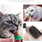 Cat Catnip Energy Lick Ball Treats, Natural Nutrition Snack Balls with Catnip and Trace Elements, Wall-Mounted Healthy Cat Candy