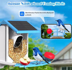 Smart Bird Feeder with Camera Solar Powered WiFi 4MP AI Bird Species Identification Motion Detection Night Vision for Outdoor Bird Watching