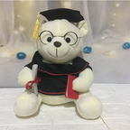 Plush Doctor Bear Toy Gift - Graduation Teddy Bear | Home Decor