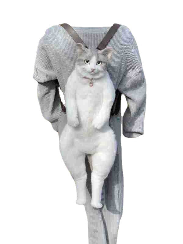 Simulation Cat Backpack Doll Plush Toy for Kids | Home Decor