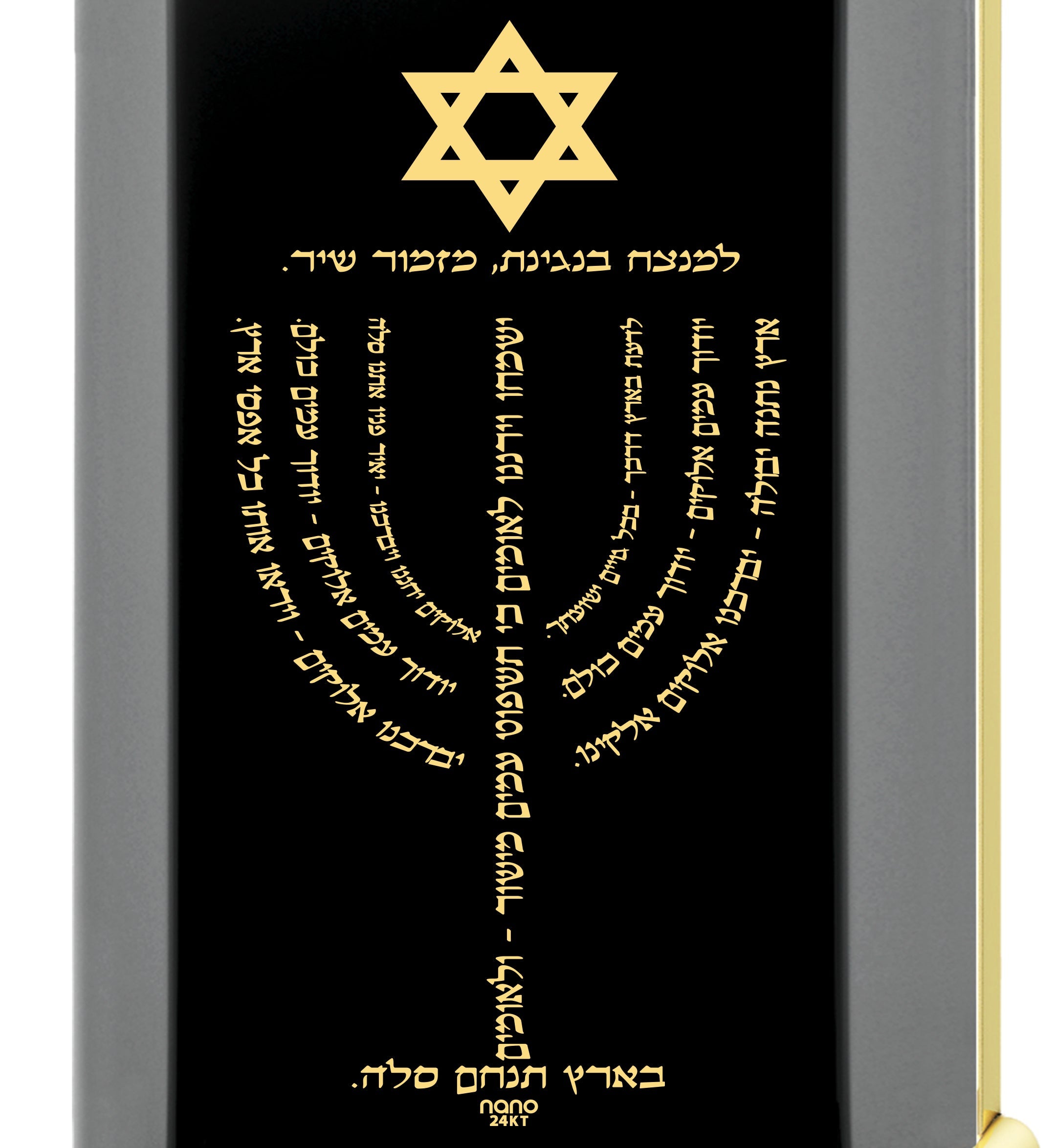 Men's Star of David Menorah Pendant Necklace on Onyx