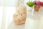 Cute Patch Teddy Bear Plush Toy Doll | Home Decor